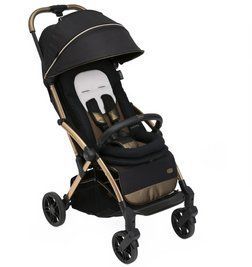 Прогулочная коляска Chicco Goody Primo CHG24 фото