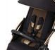 Прогулянкова коляска Chicco Goody Primo CHG24 фото 3