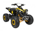 Квадроцикл с двигателем внутреннего сгорания Ramiz Renegade HighPer 125CC 25RRH фото 1