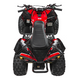 Квадроцикл с двигателем внутреннего сгорания Ramiz Renegade HighPer 125CC 25RRH фото 15