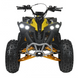 Квадроцикл с двигателем внутреннего сгорания Ramiz Renegade HighPer 125CC 25RRH фото 5