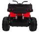 Квадроцикл Ramiz Quad XL ATV 4x4 RQXL24 фото 10