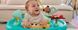 Стаціонарний ігровий центр 5 в 1 Tiny Love Fun in the Meadow TLMD25 фото 6