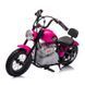 Електробайк Ramiz Speed Power RSP24 фото 9