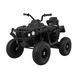 Квадроцикл Ramiz Quad ATV Air RQATV2400 фото 3