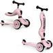 Самокат-біговел Scoot and Ride Highwaykick-1 SR24 фото 1