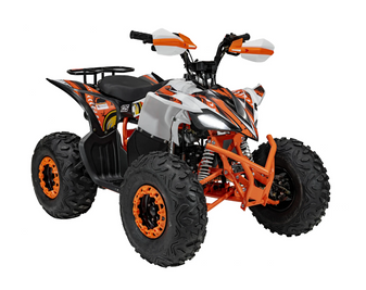 Квадроцикл з двигуном внутрішнього згоряння Ramiz Quad DESERT STORM 5903864941647 фото