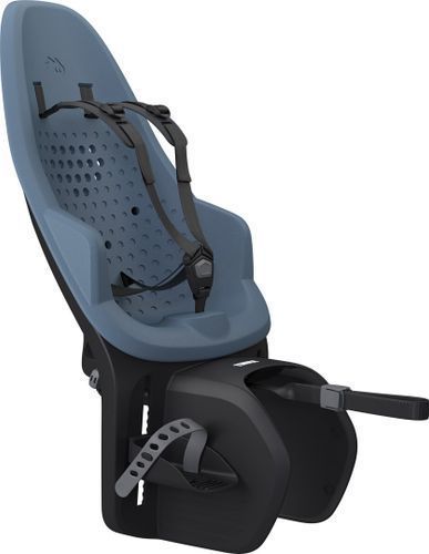 Детское кресло велосипедное Thule Yepp 2 Maxi RM 25TYMX фото